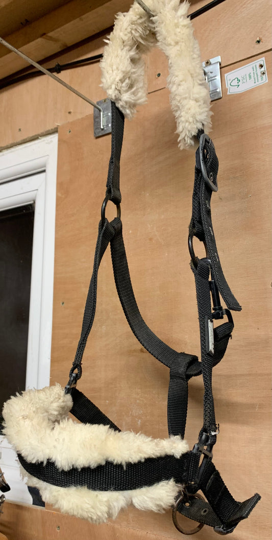 Full size black Roma headcollar with fluffy nose band and head piece