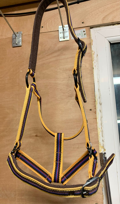 Full size yellow/brown Roma head collar