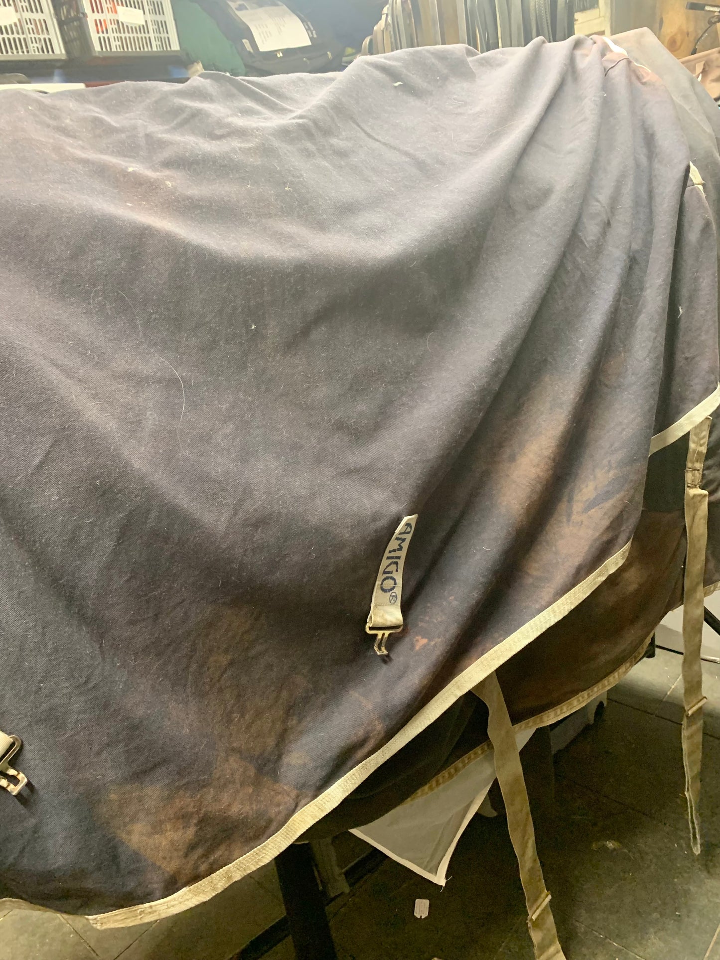 7’0 amigo cotton stable sheet (ref 2)
