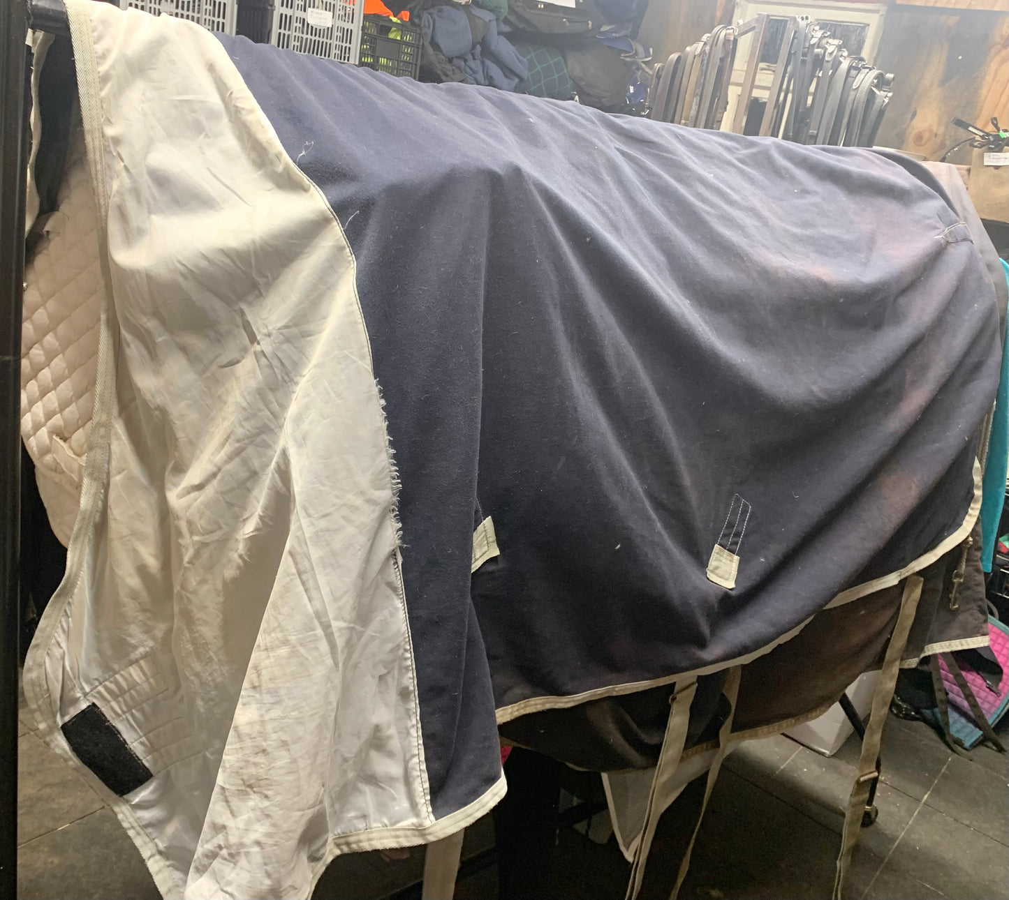 7’0 amigo cotton stable sheet (ref 2)
