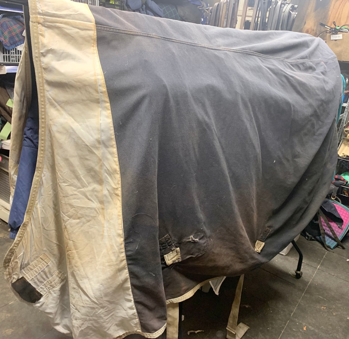 7’0 amigo cotton stable sheet ref1