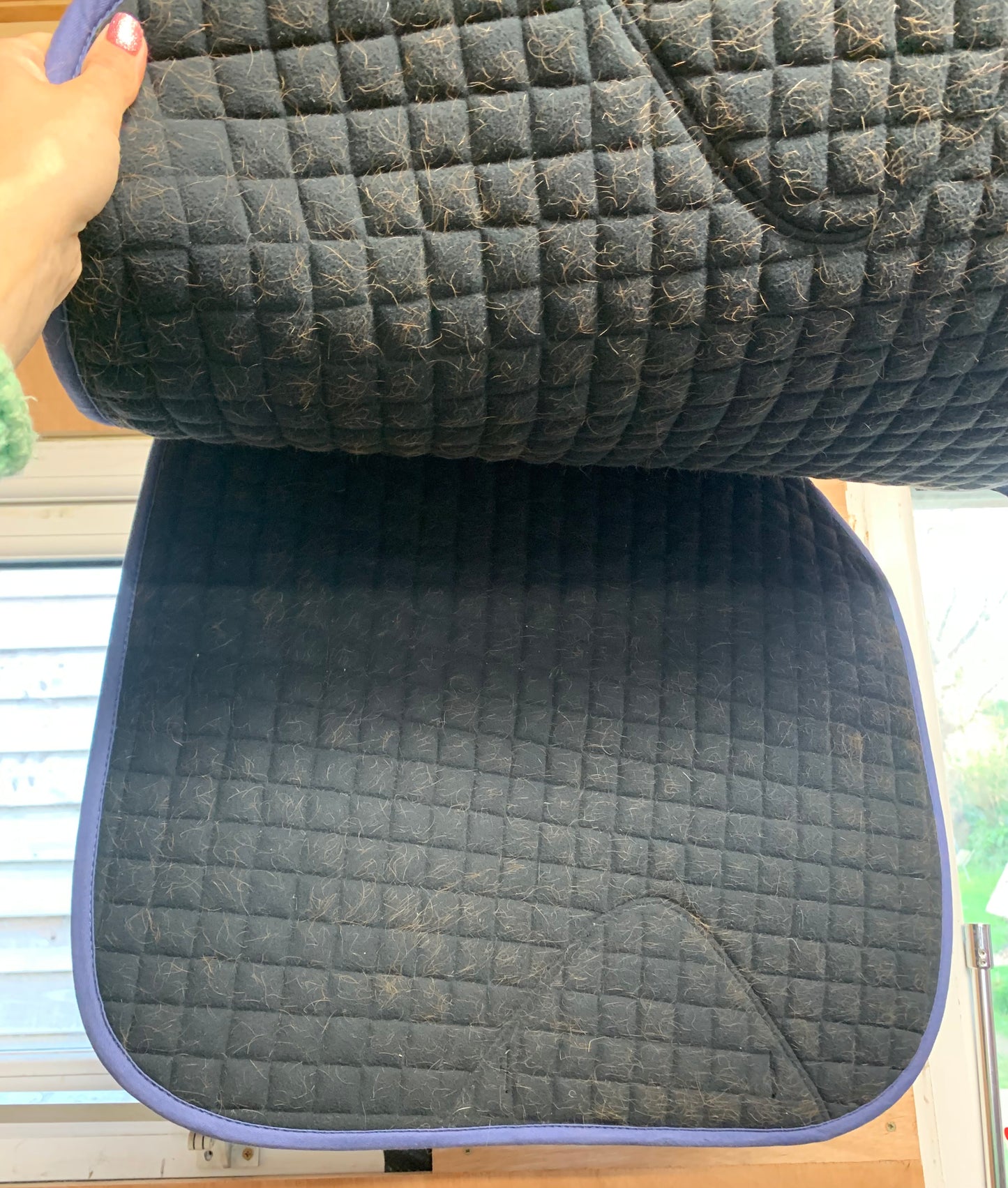 Weatherbeeta blue saddle pad size pony