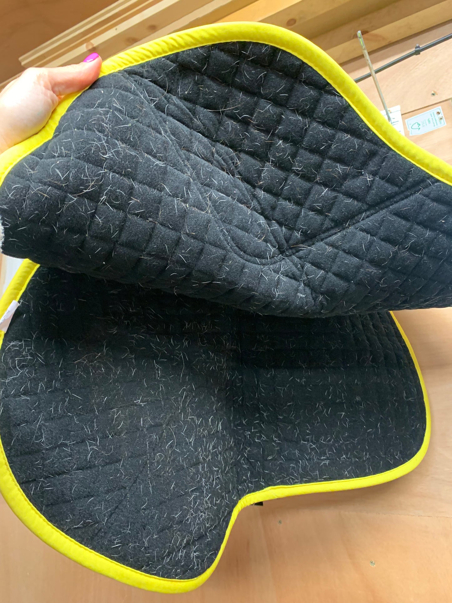 weatherbeeta ombre rainbow jump saddle pad And matching ears pony