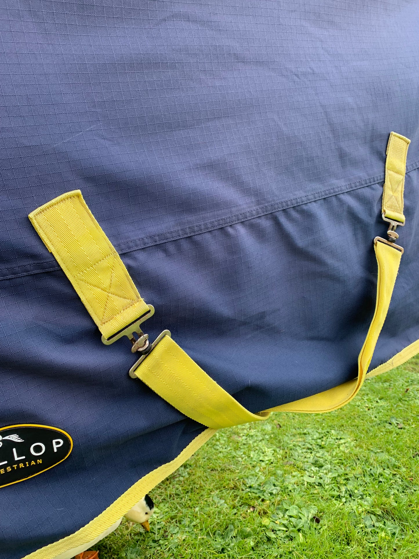 Washed & reproofed 6’0” yellow and blue gallop combo turnout medium weight