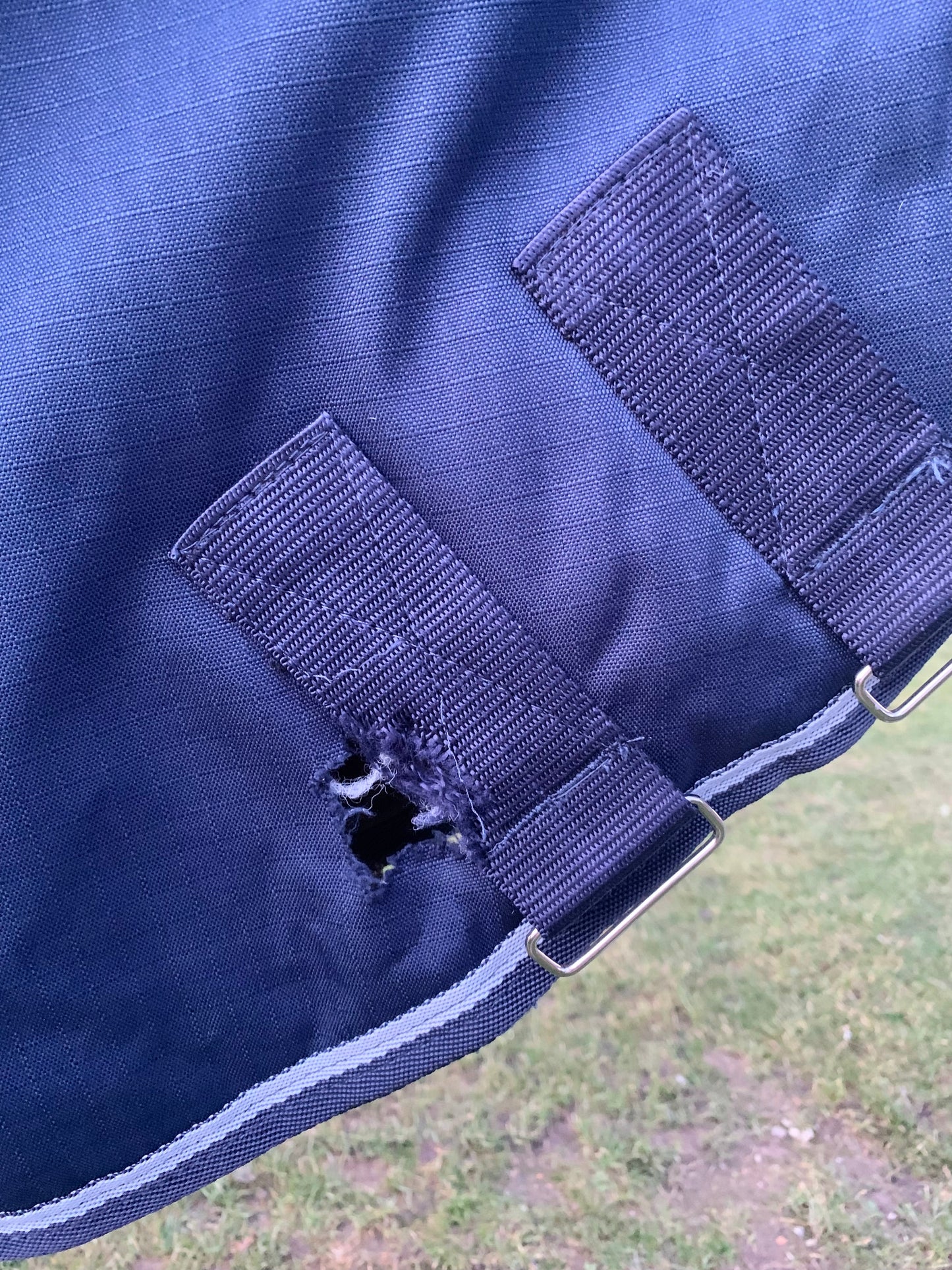 Professionally Washed and reproofed 6’0” Blue combo turnout rug approx 150g