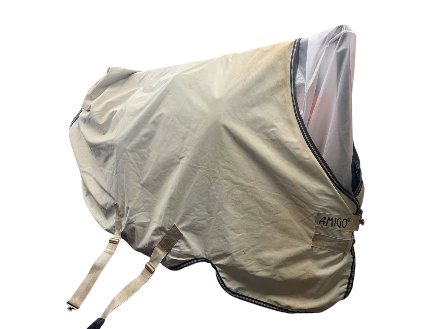 5’6 Amigo hero 50g light turnout rug washed & reproofed